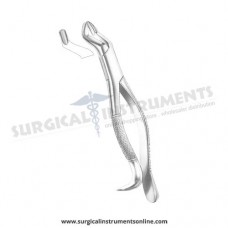 American Pattern Forceps