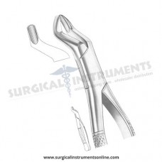 American Pattern Forceps