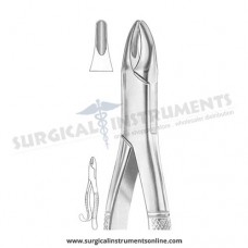 American Pattern Forceps