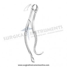 American Pattern Forceps