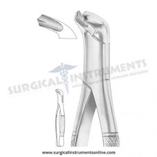 American Pattern Forceps