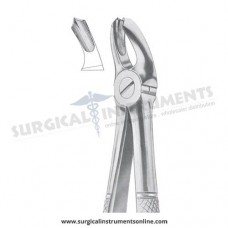 English Pattern Forceps