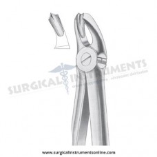 English Pattern Forceps