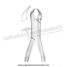 American Pattern Forceps