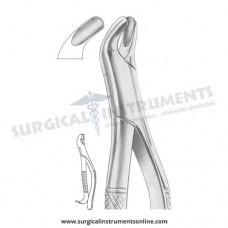 American Pattern Forceps