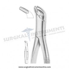 American Pattern Forceps