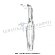 American Pattern Forceps