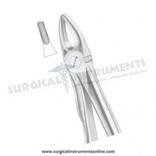 English Pattern Forceps