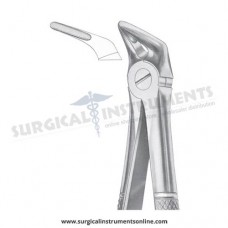 English Pattern Forceps