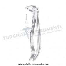 English Pattern Forceps