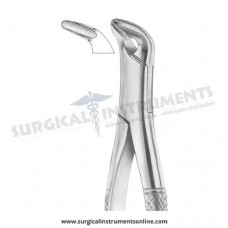 American Pattern Forceps