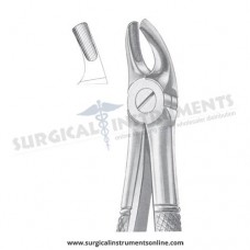 English Pattern Forceps