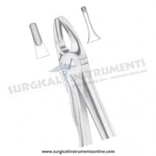 English Pattern Forceps