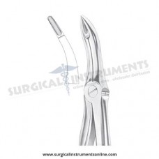 English Pattern Forceps