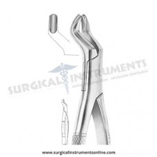 American Pattern Forceps