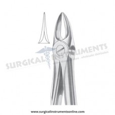 English Pattern Forceps