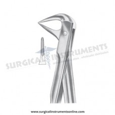 American Pattern Forceps