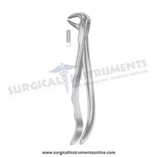 American Pattern Forceps