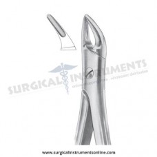 English Pattern Forceps