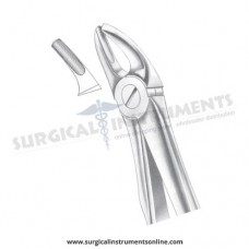 English Pattern Forceps