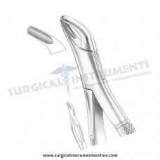 American Pattern Forceps