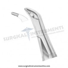 American Pattern Forceps