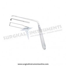 nerve root