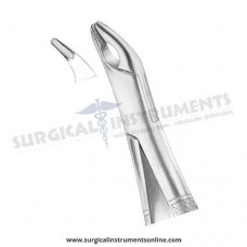 American Pattern Forceps